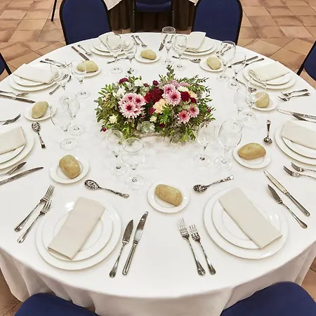 Sercotel Renacimiento 4*