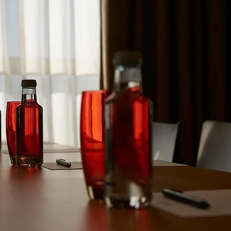 Sercotel Renacimiento 4* טולדו